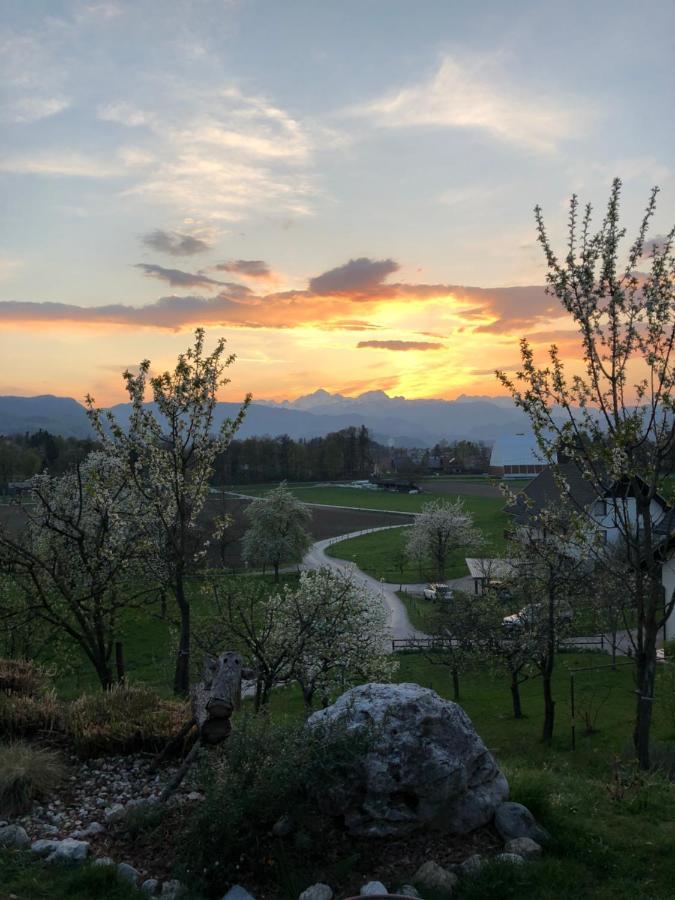 Apartma Romana Spodnji Otok Zewnętrze zdjęcie